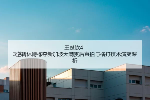 wang-chu-qin-ni-zhuan-lin-shi-dong-duo-xin-jia-po-da-man-guan-hou-zhi-pai-yu-heng-da-ji-shu-yan-bian-shen-xi-2-328.jpg