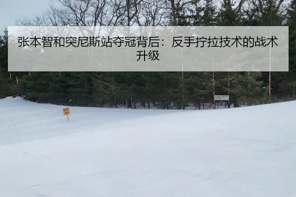 zhang-ben-zhi-he-tu-ni-si-zhan-duo-guan-bei-hou-fan-shou-ning-la-ji-shu-de-zhan-shu-sheng-ji-3-712.jpg